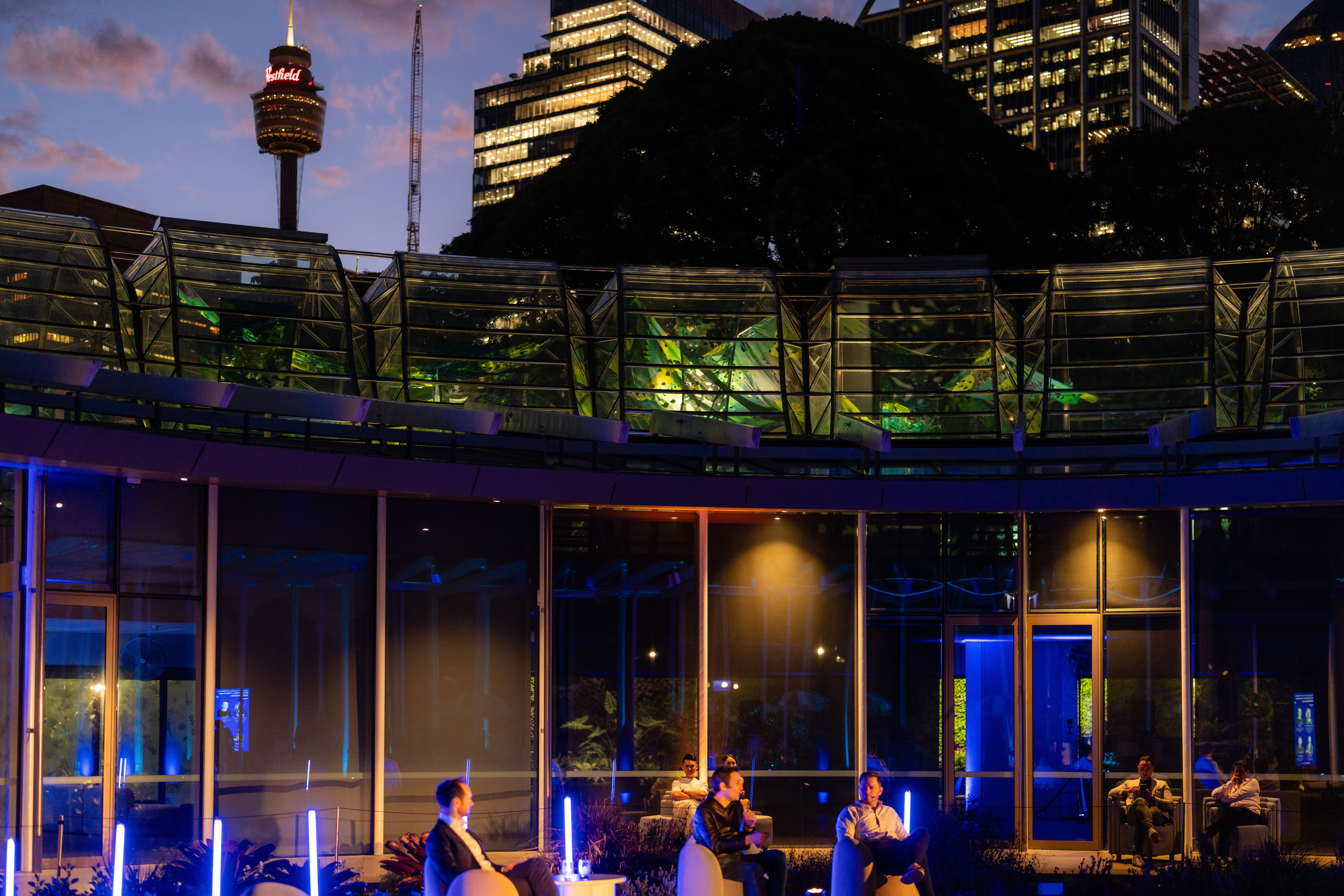 20251111Aura.co_sgrphoto0071