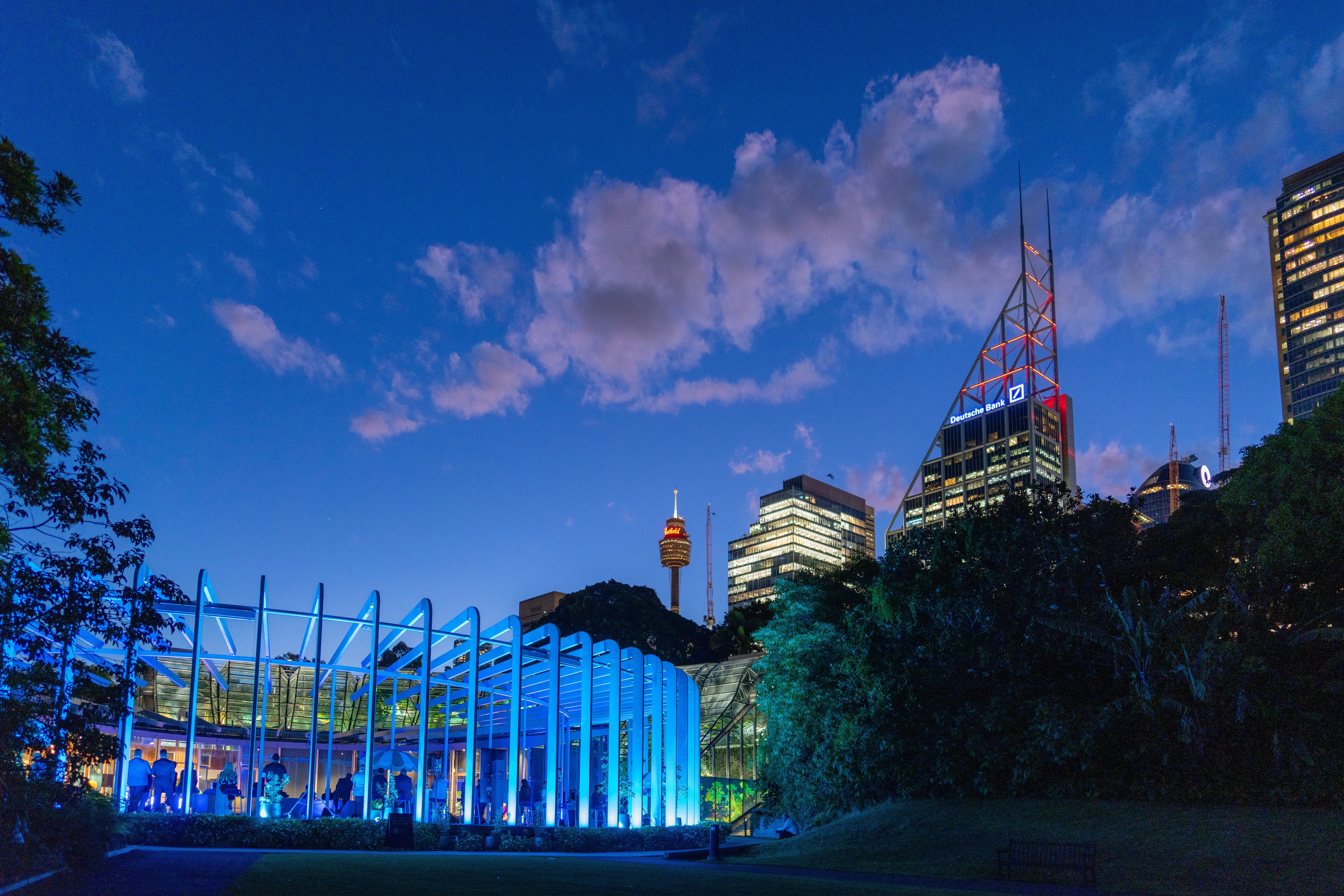 20251111Aura.co_sgrphoto0074