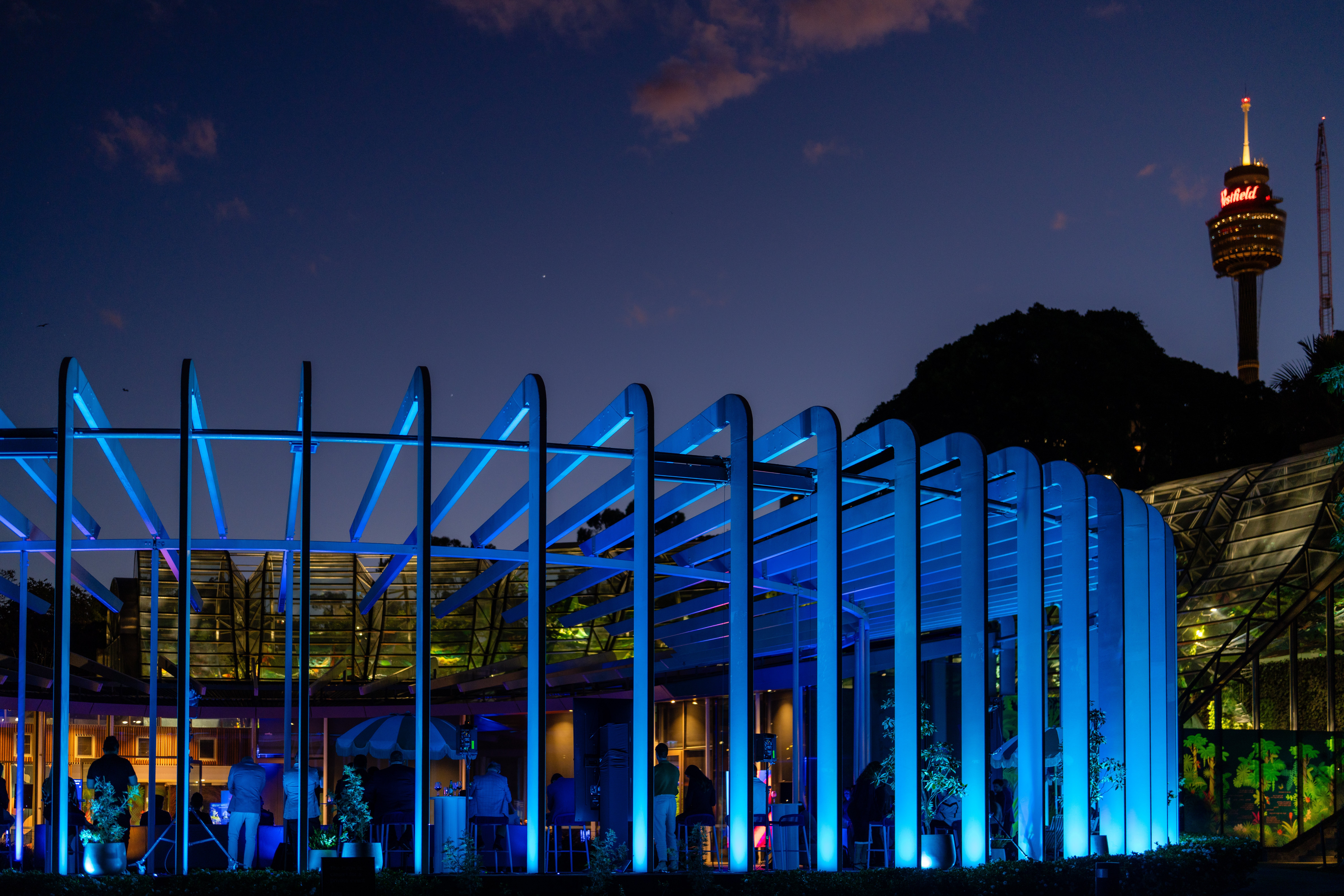 20251111Aura.co_sgrphoto0075