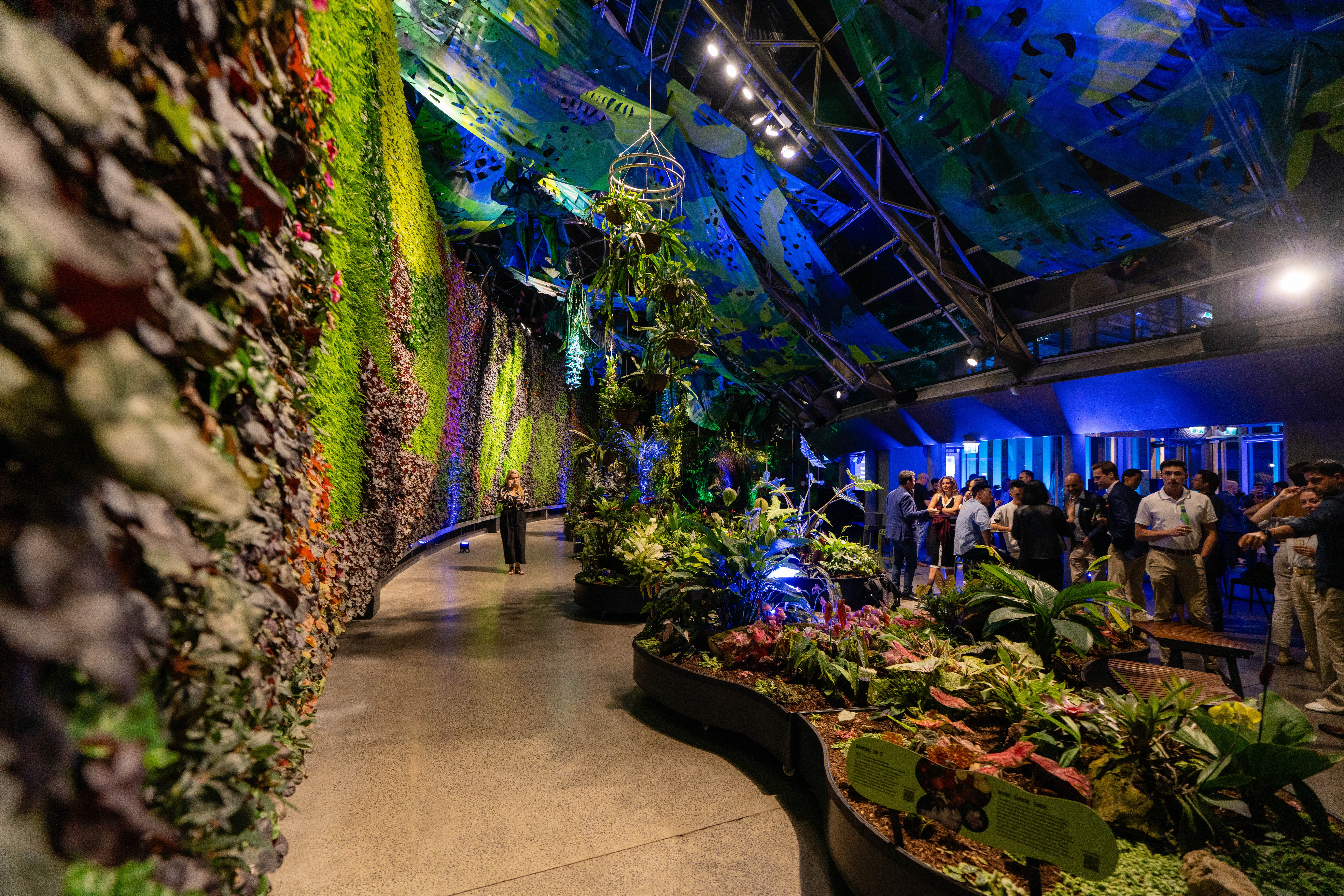 20251111Aura.co_sgrphoto0083