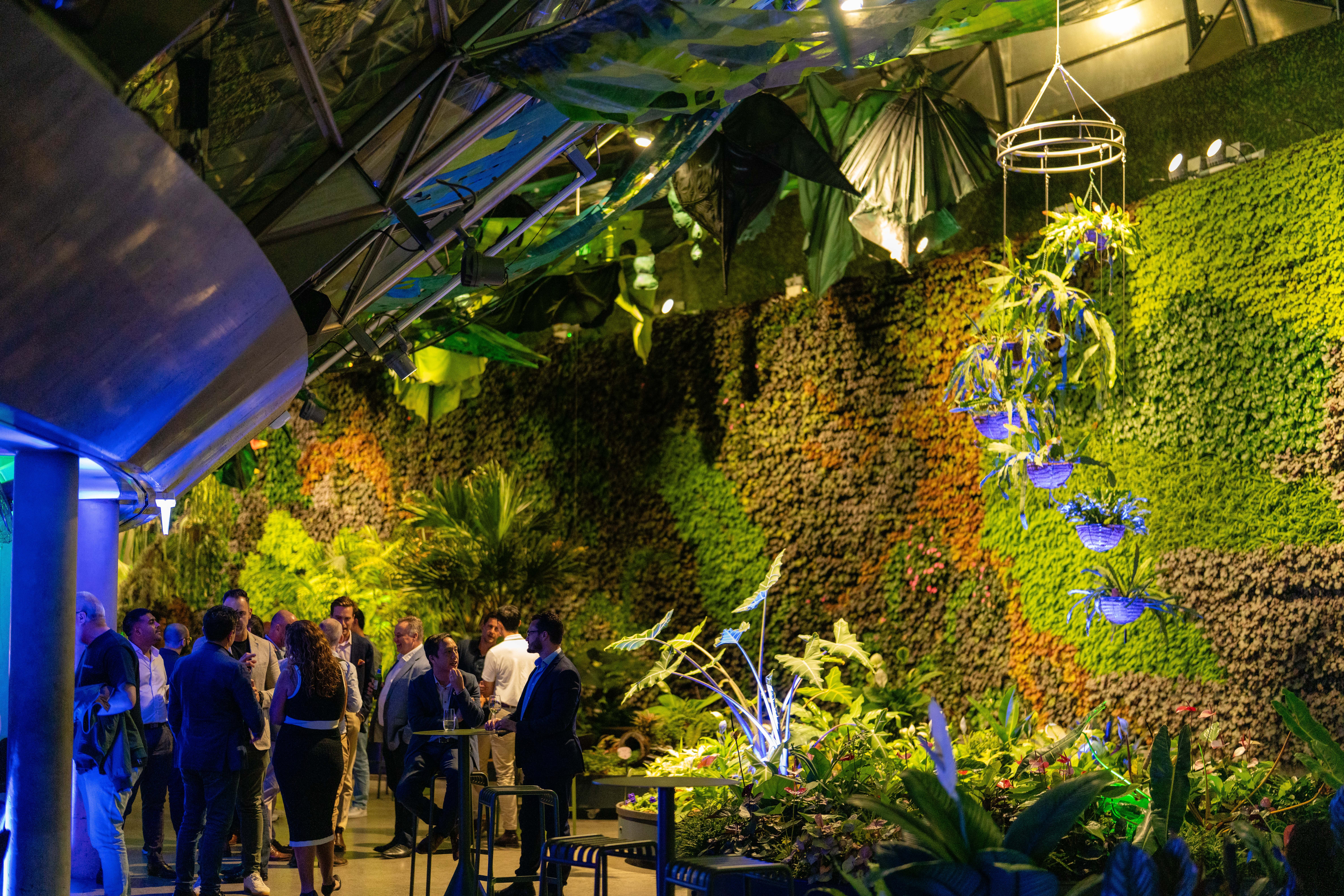 20251111Aura.co_sgrphoto0098