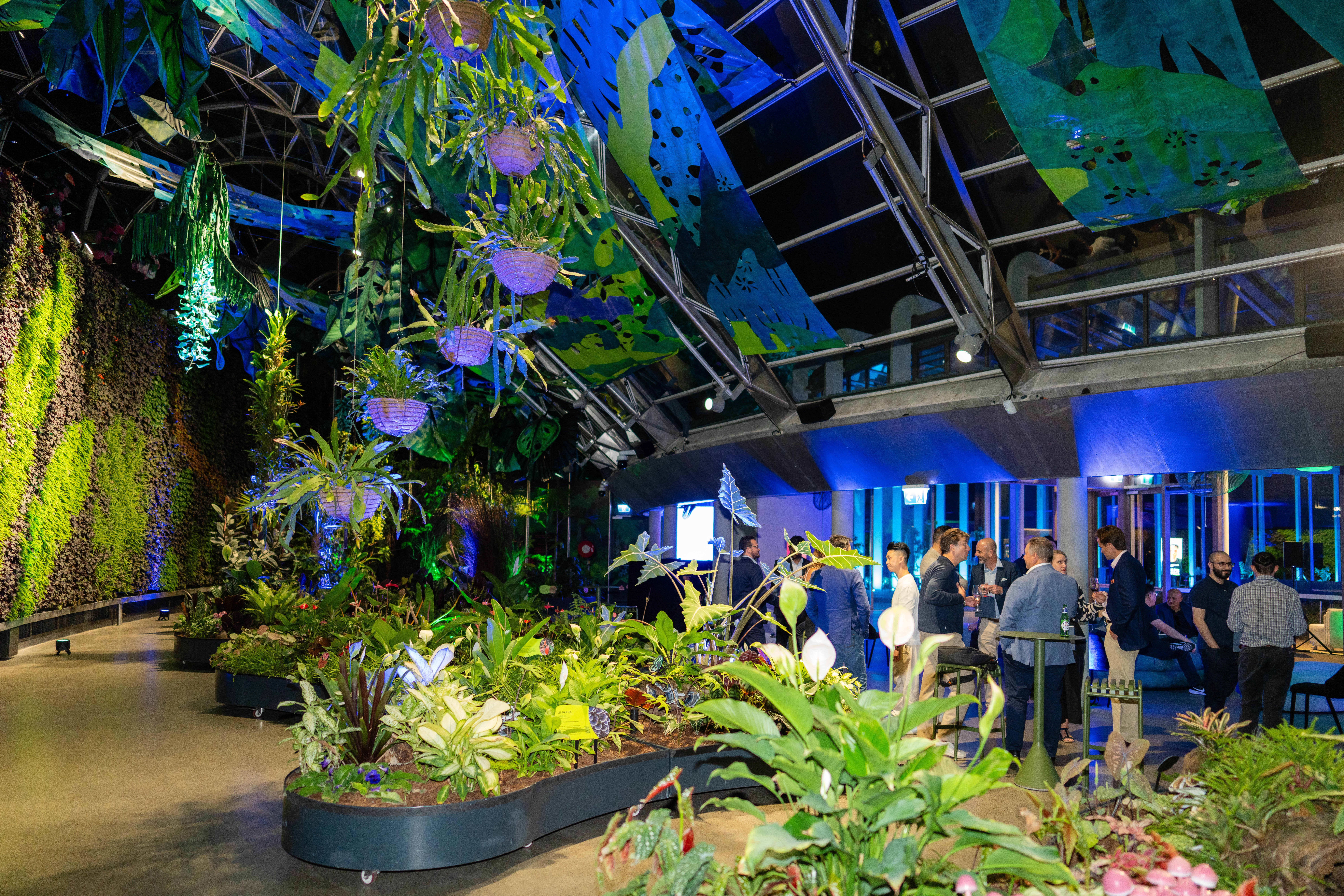 20251111Aura.co_sgrphoto0104