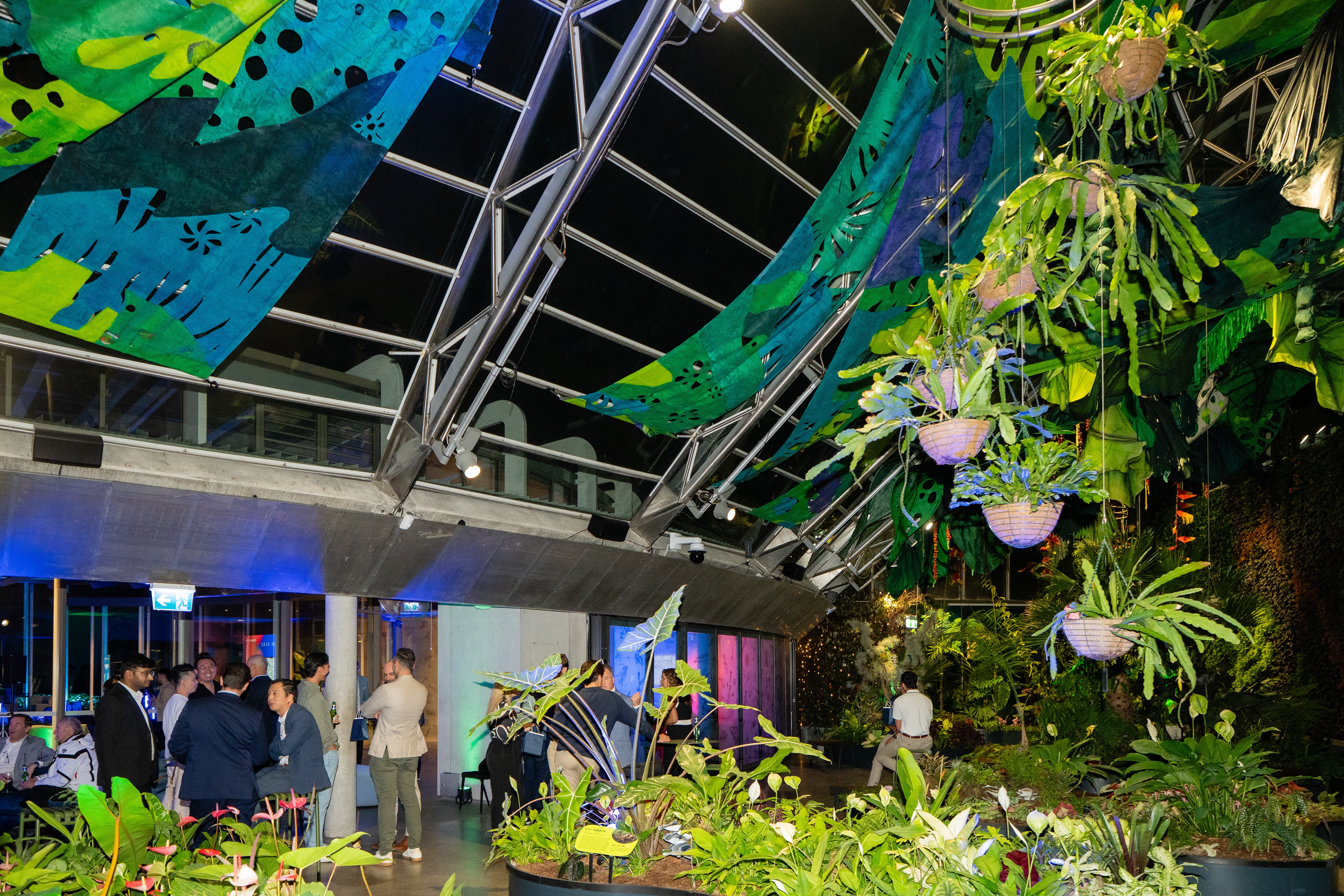 20251111Aura.co_sgrphoto0106