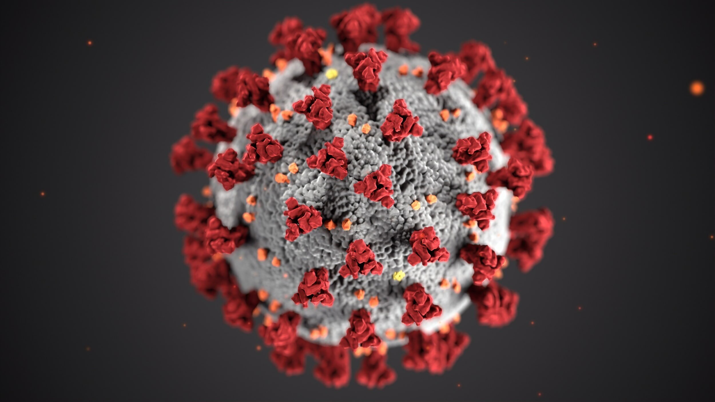 macro photo of covid-19 virus