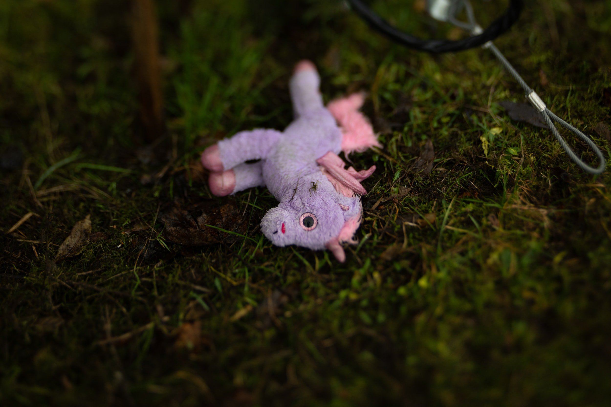 Plush unicorn laid out on grass
