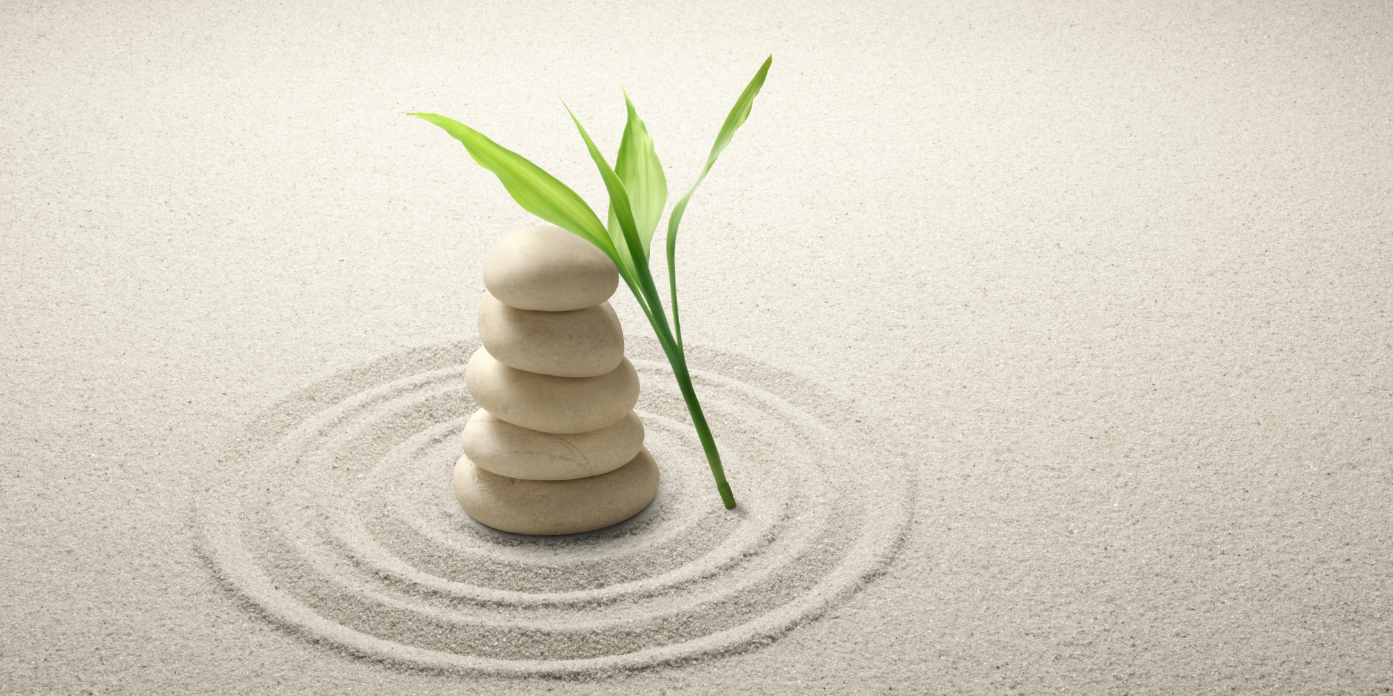 Understanding Asymmetric Return Investing by Calvin Ng